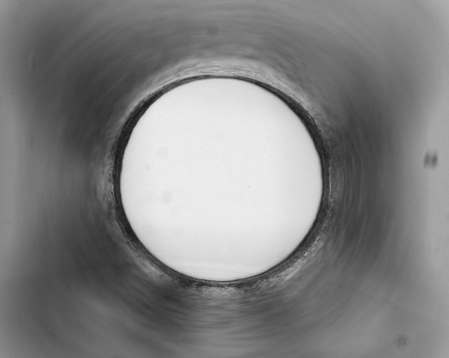 X0000103401498200810031213