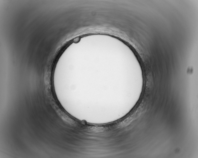 X0000103401499200810031213