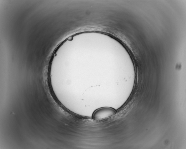 X0000103401500200810031213