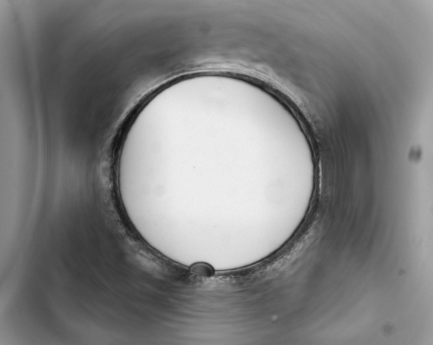 X0000103401501200810031213