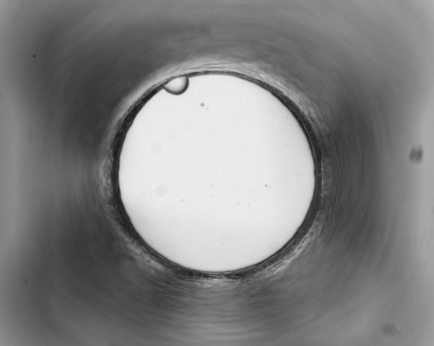 X0000103401502200810031213