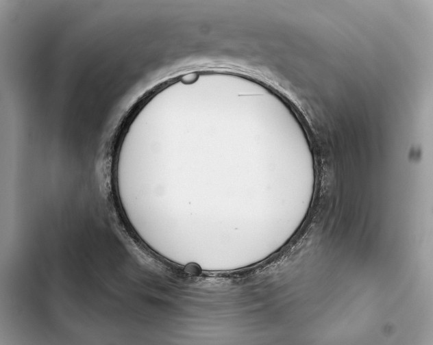 X0000103401503200810031213