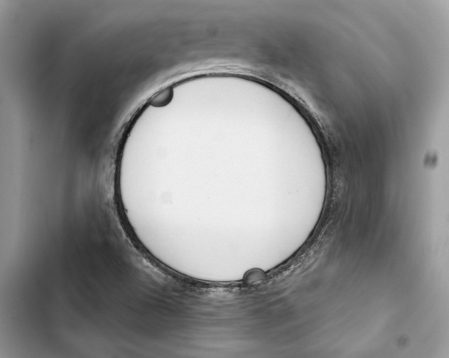 X0000103401504200810031213