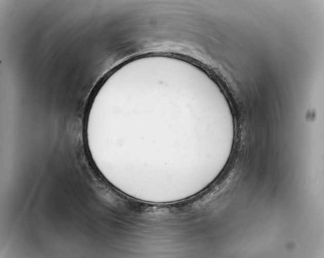 X0000103401505200810031213