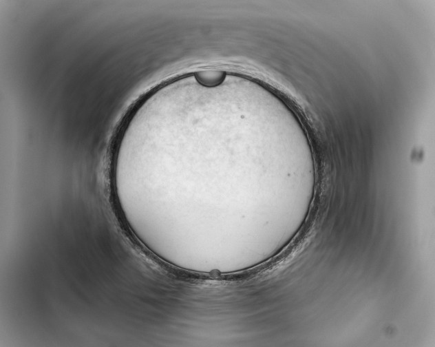 X0000103401506200810031213