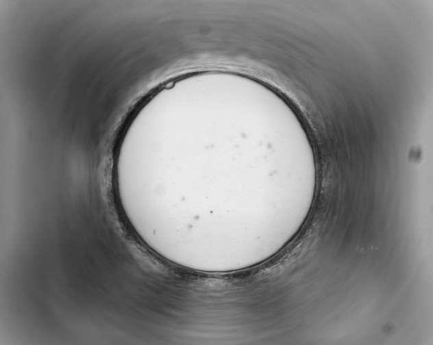 X0000103401507200810031213