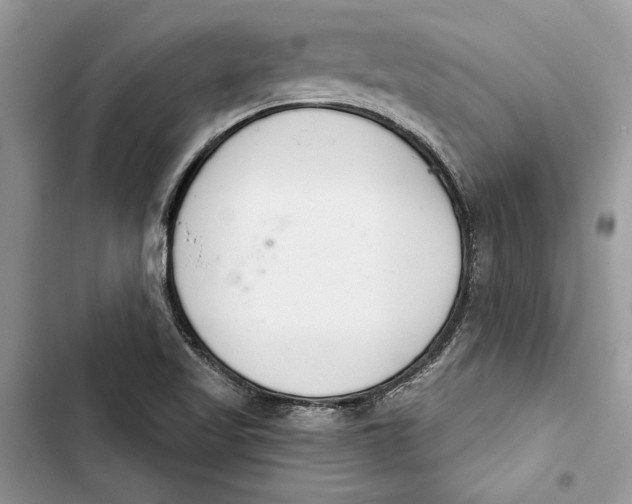 X0000103401509200810031213