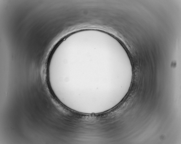 X0000103401511200810031213