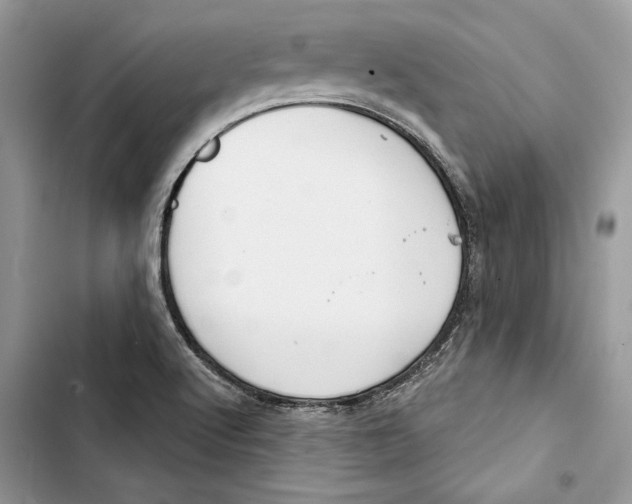 X0000103401512200810031213