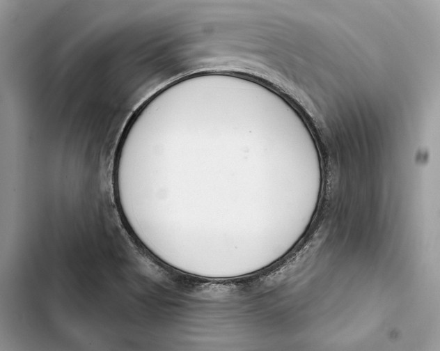 X0000103401513200810031213