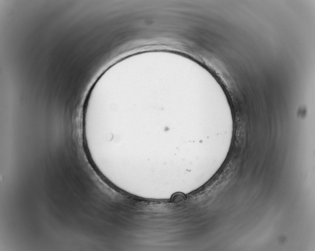 X0000103401516200810031213