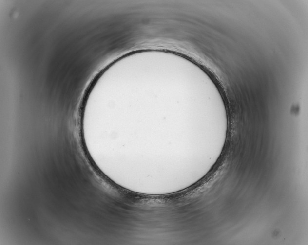 X0000103401517200810031213