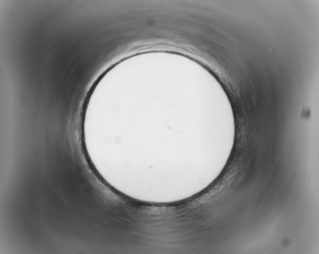 X0000103401518200810031213