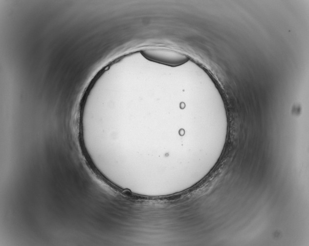 X0000103401519200810031213