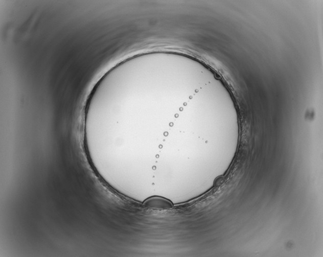 X0000103401520200810031213