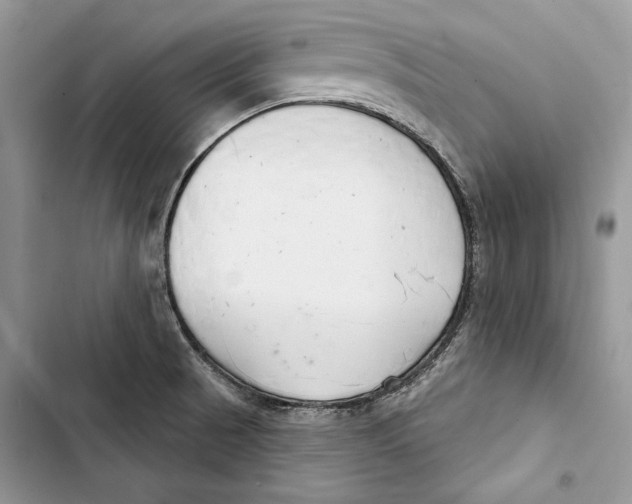 X0000103401521200810031213