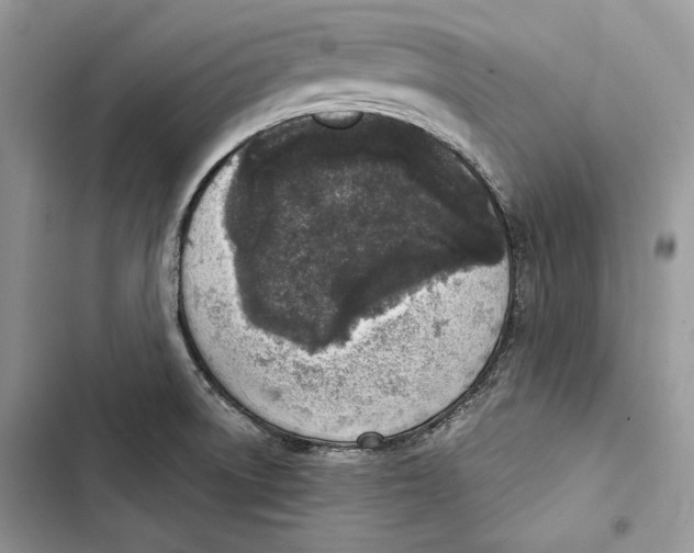 X0000103401522200810031213