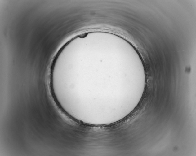 X0000103401523200810031213