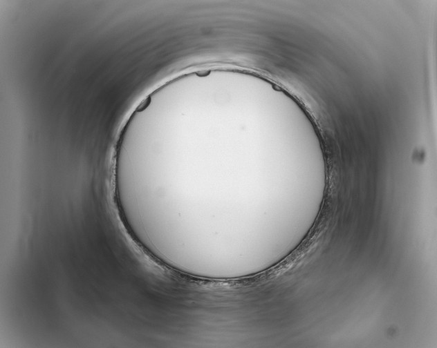 X0000103401524200810031213