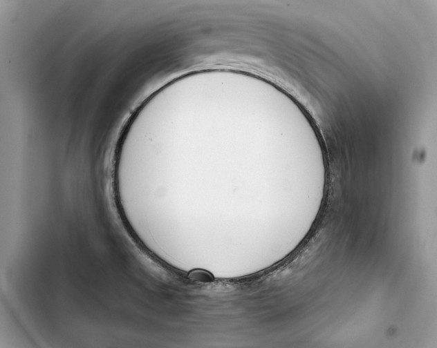 X0000103401525200810031213