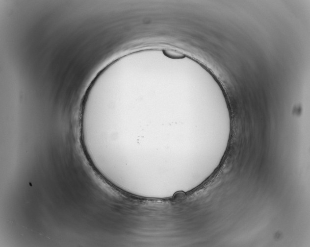 X0000103401526200810031213