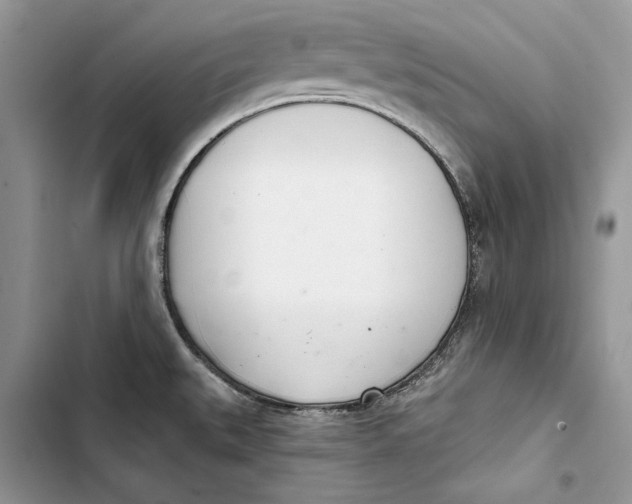 X0000103401527200810031213