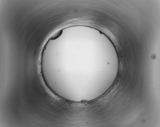 X0000103401528200810031213