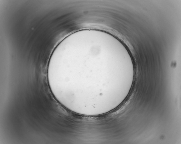 X0000103401529200810031213