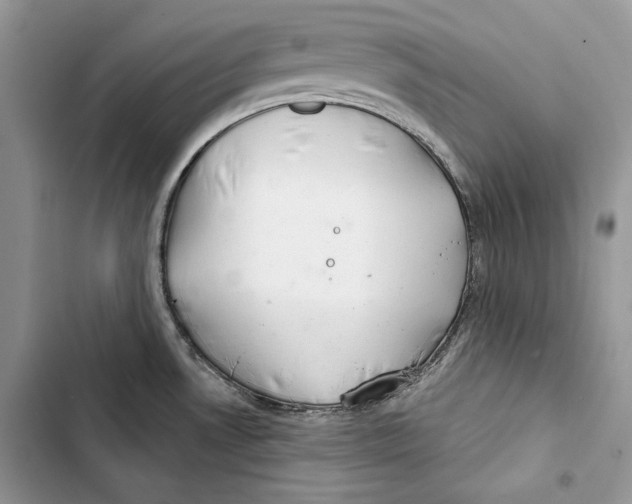 X0000103401530200810031213