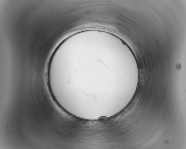 X0000103401531200810031213