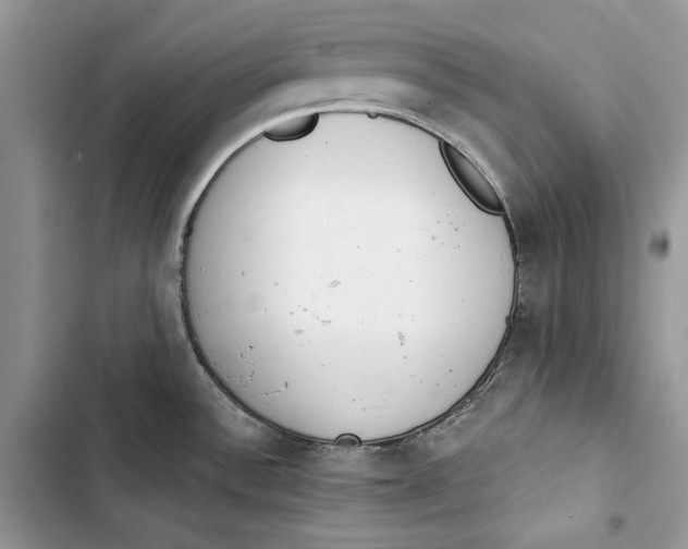 X0000103401532200810031213