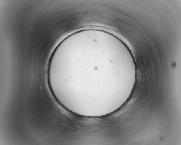 X0000103401533200810031213