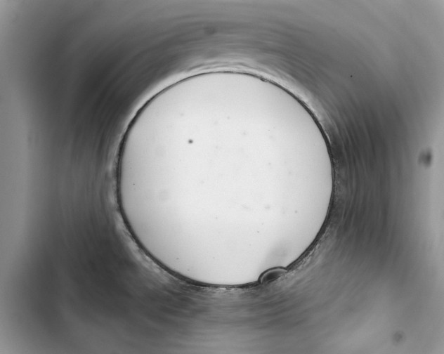 X0000103401534200810031214