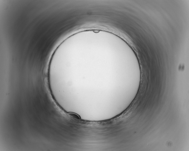 X0000103401536200810031214