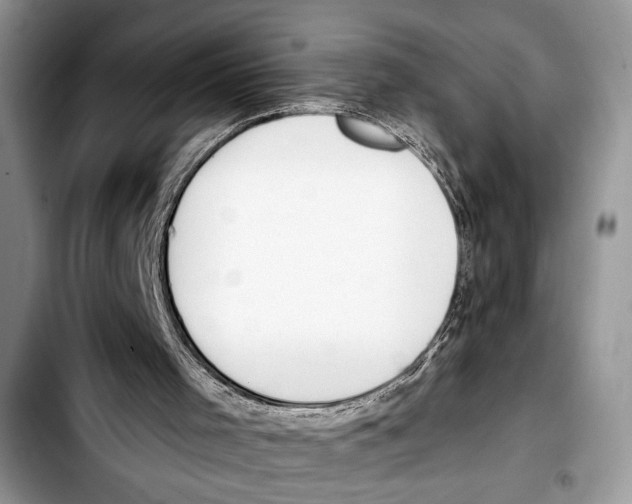 X0000103400001200810100944