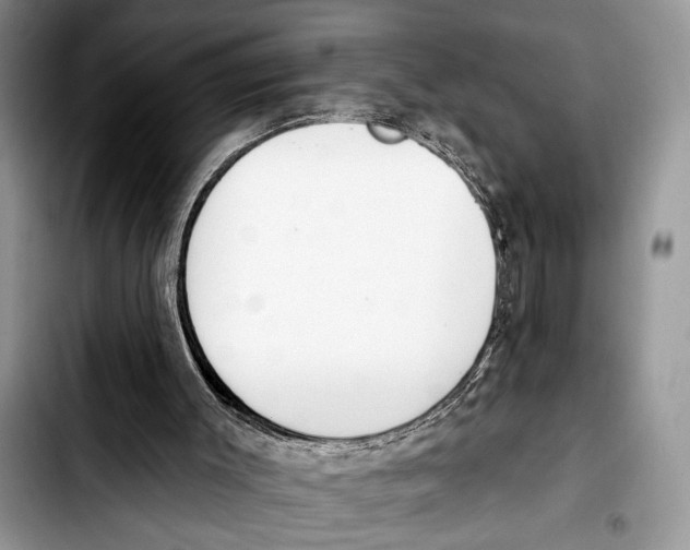 X0000103400003200810100944