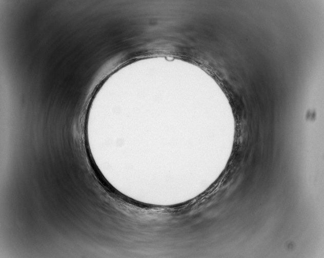 X0000103400004200810100944