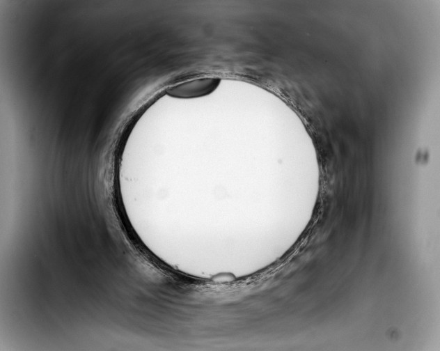 X0000103400005200810100944