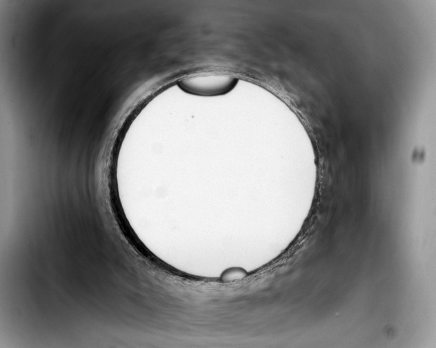 X0000103400007200810100944