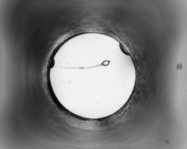 X0000103400008200810100944