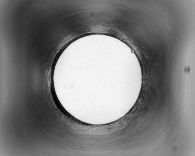 X0000103400011200810100944