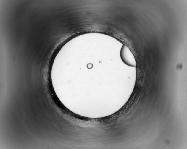 X0000103400012200810100944