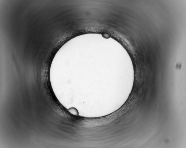 X0000103400017200810100944