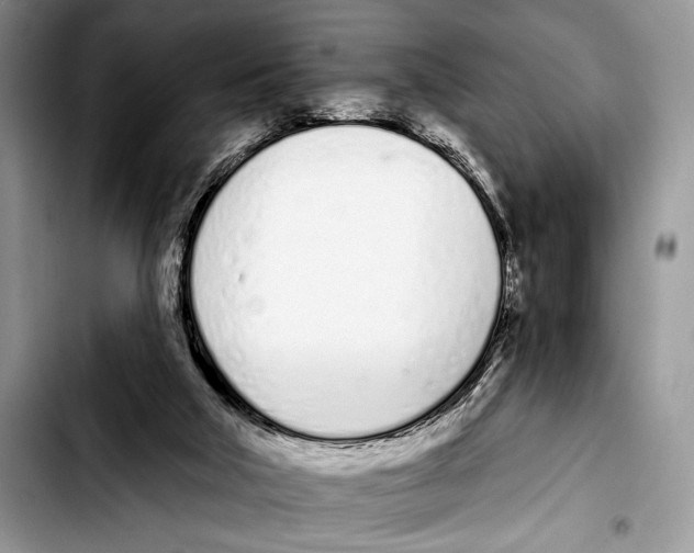 X0000103400018200810100944