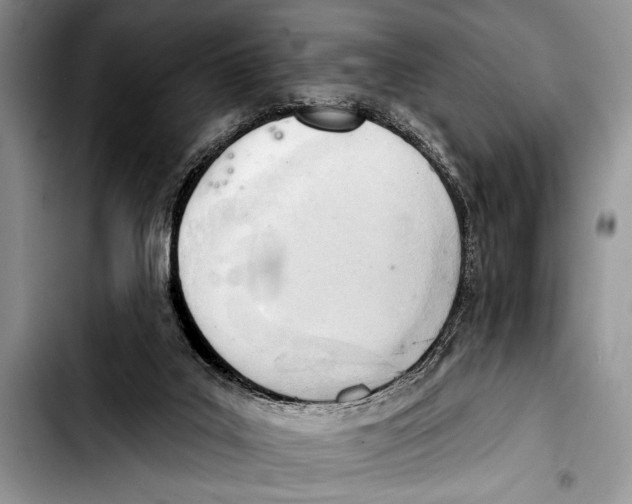 X0000103400019200810100944