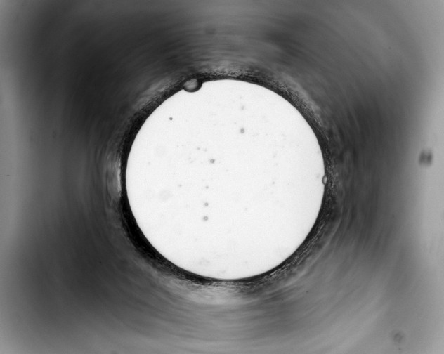 X0000103400020200810100944