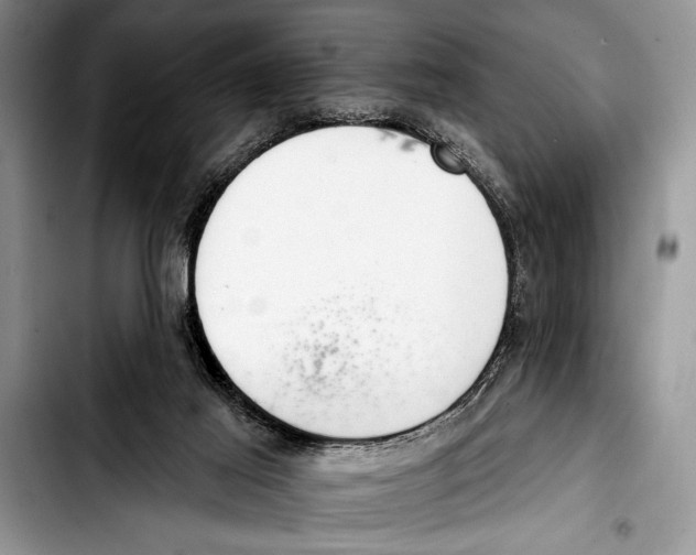 X0000103400021200810100944