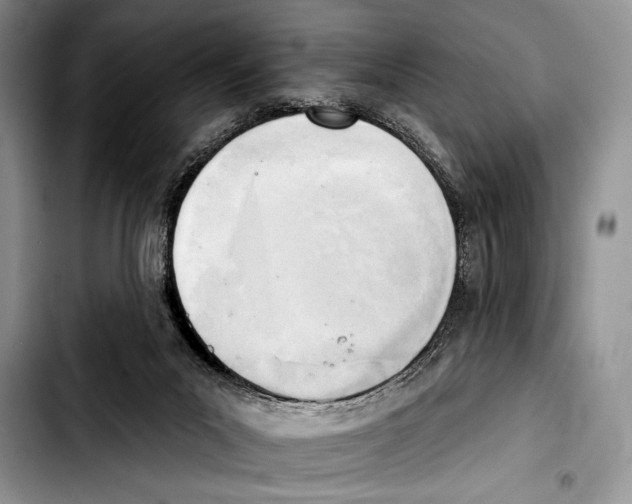 X0000103400023200810100944