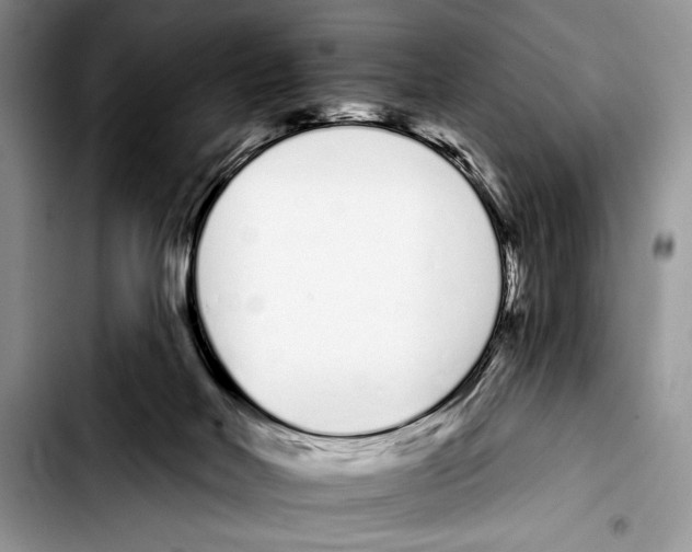 X0000103400026200810100944