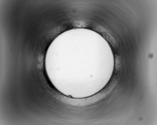 X0000103400030200810100944